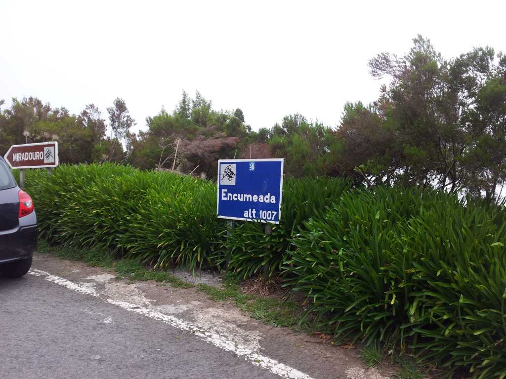 066_Madeira_662012-06-11 12.48.50.jpg