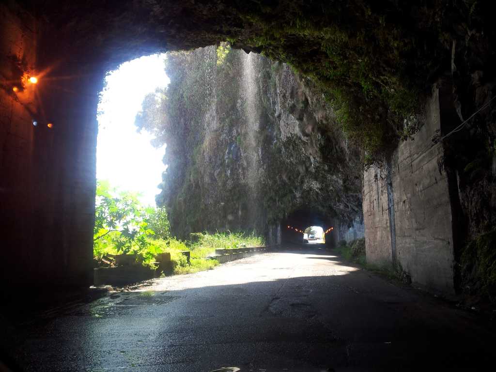 078_Madeira_782012-06-11 17.17.02.jpg