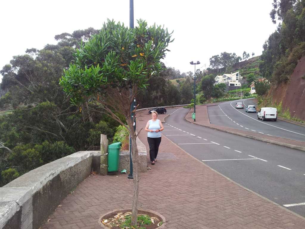 092_Madeira_922012-06-13 12.21.31.jpg