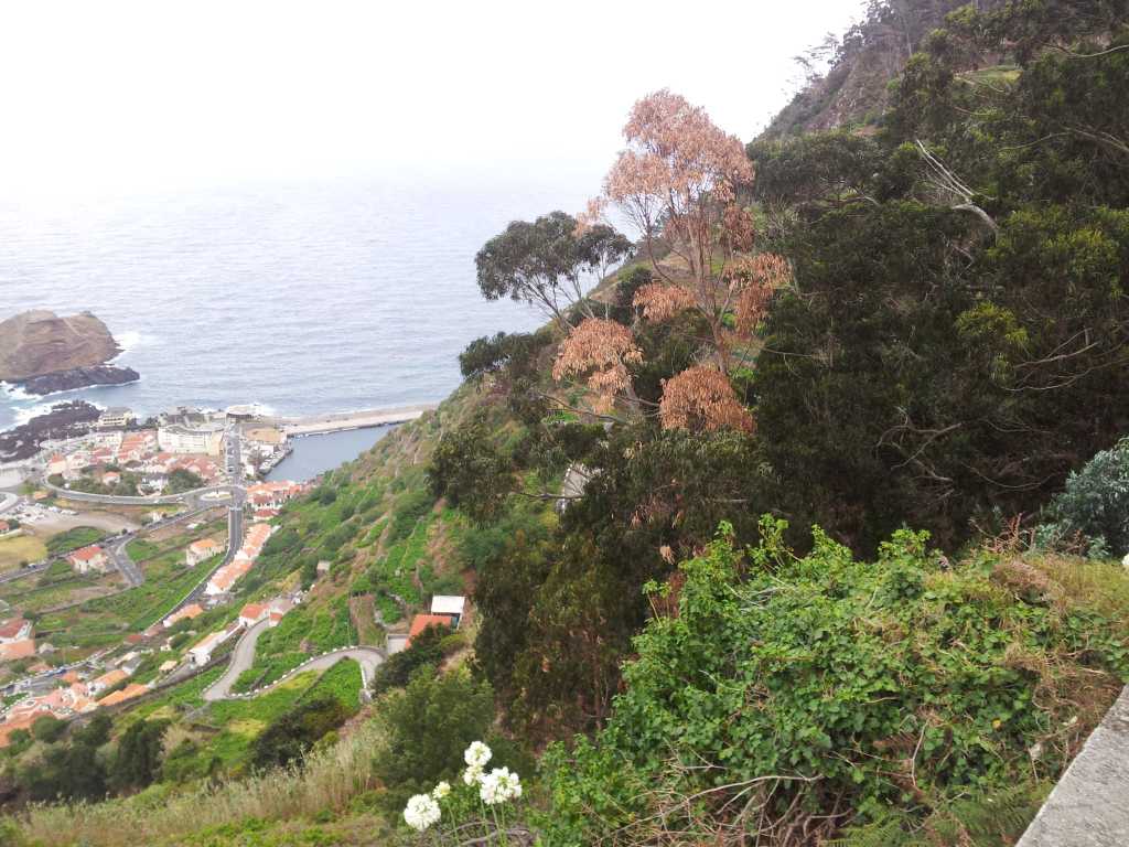 094_Madeira_942012-06-13 12.21.59.jpg
