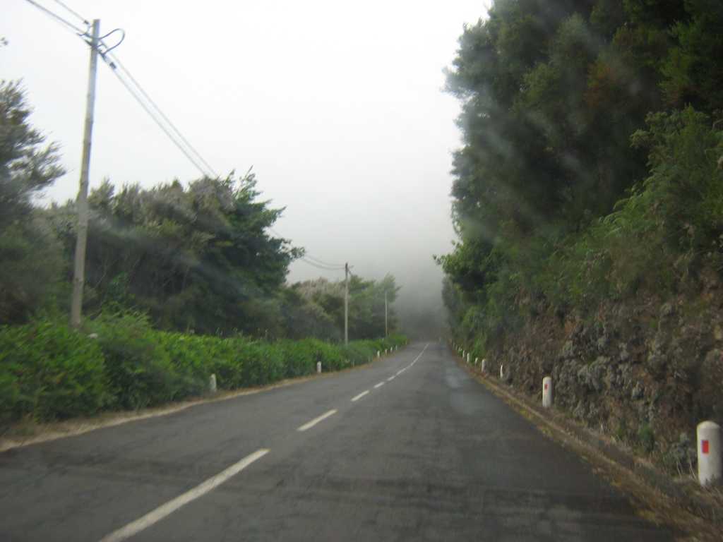 103_Madeira_103IMG_0057.jpg