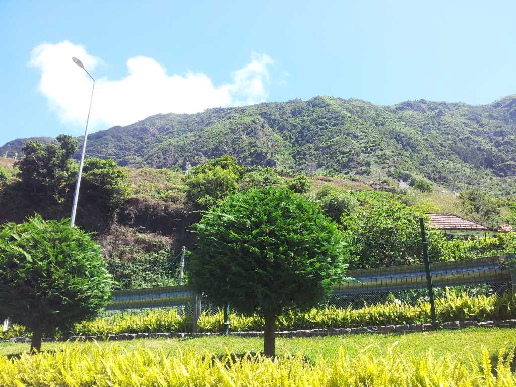 144_Madeira_1442012-06-17 13.36.44.jpg