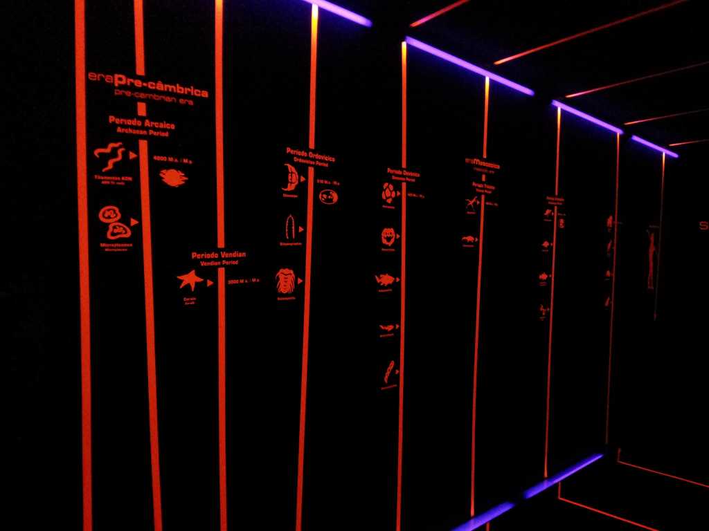 158_Madeira_1582012-06-17 14.14.53.jpg