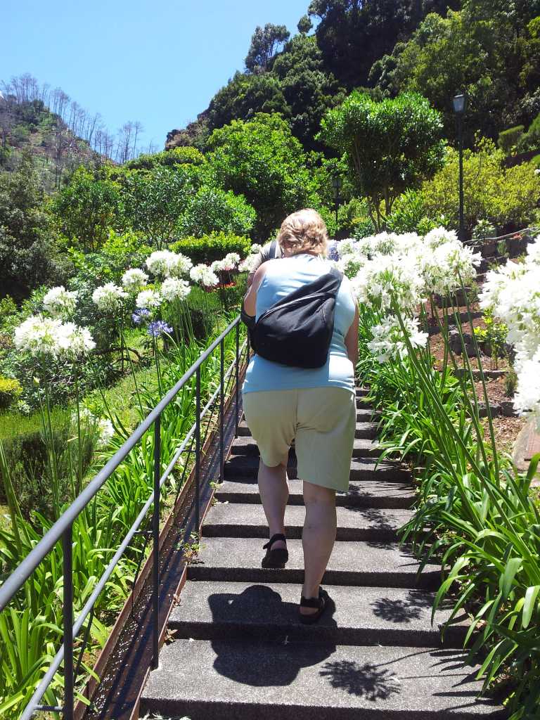 158d_Madeira_1662012-06-17 14.54.25.jpg