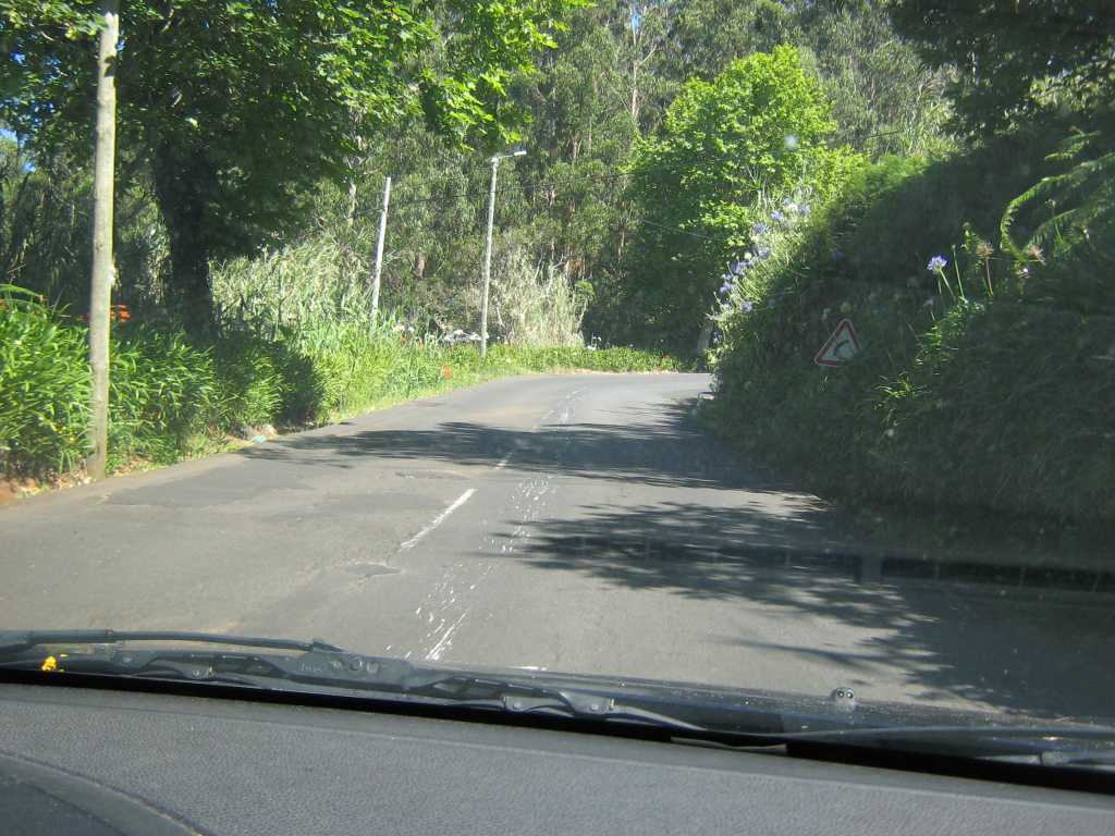 181_Madeira_181IMG_0102.jpg