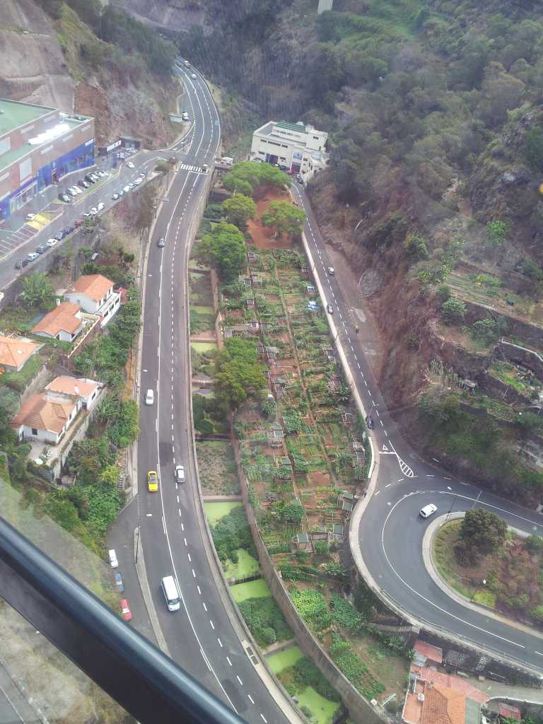 185_Madeira_1852012-06-18 12.08.17.jpg