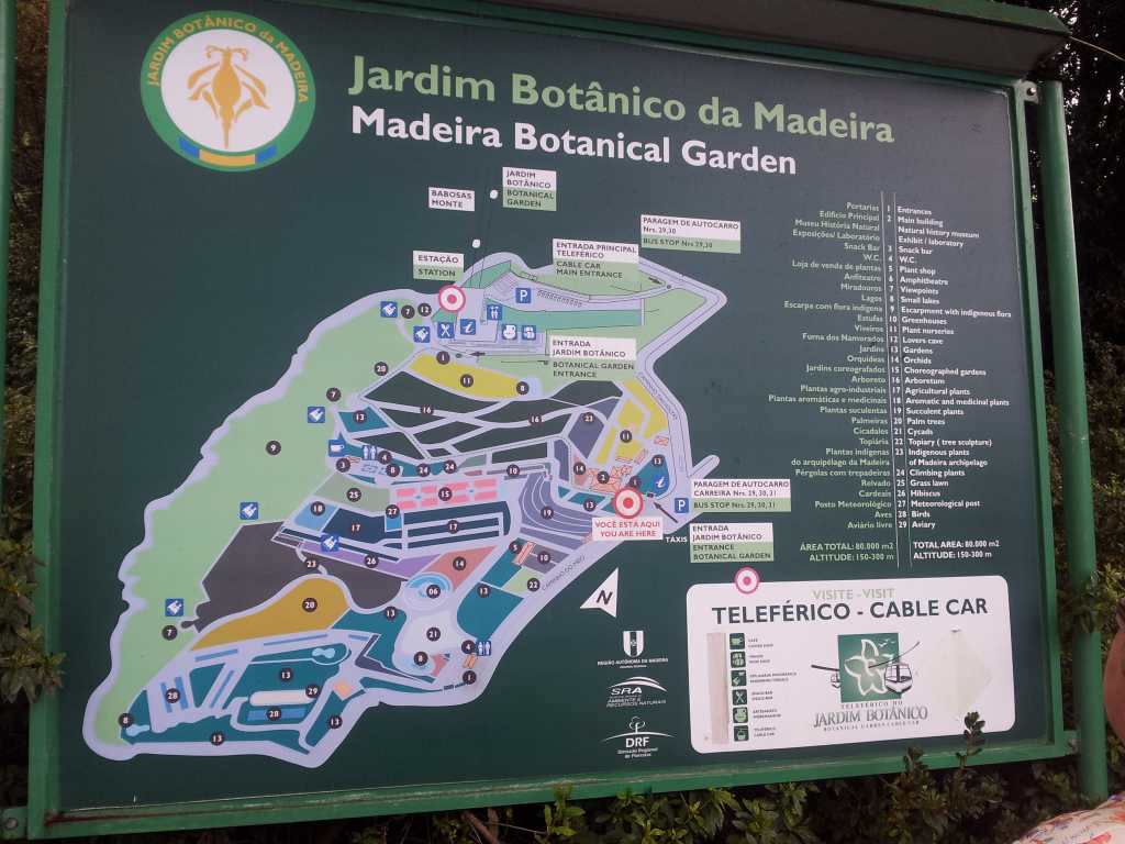 192b_Madeira_2242012-06-18 14.39.55.jpg