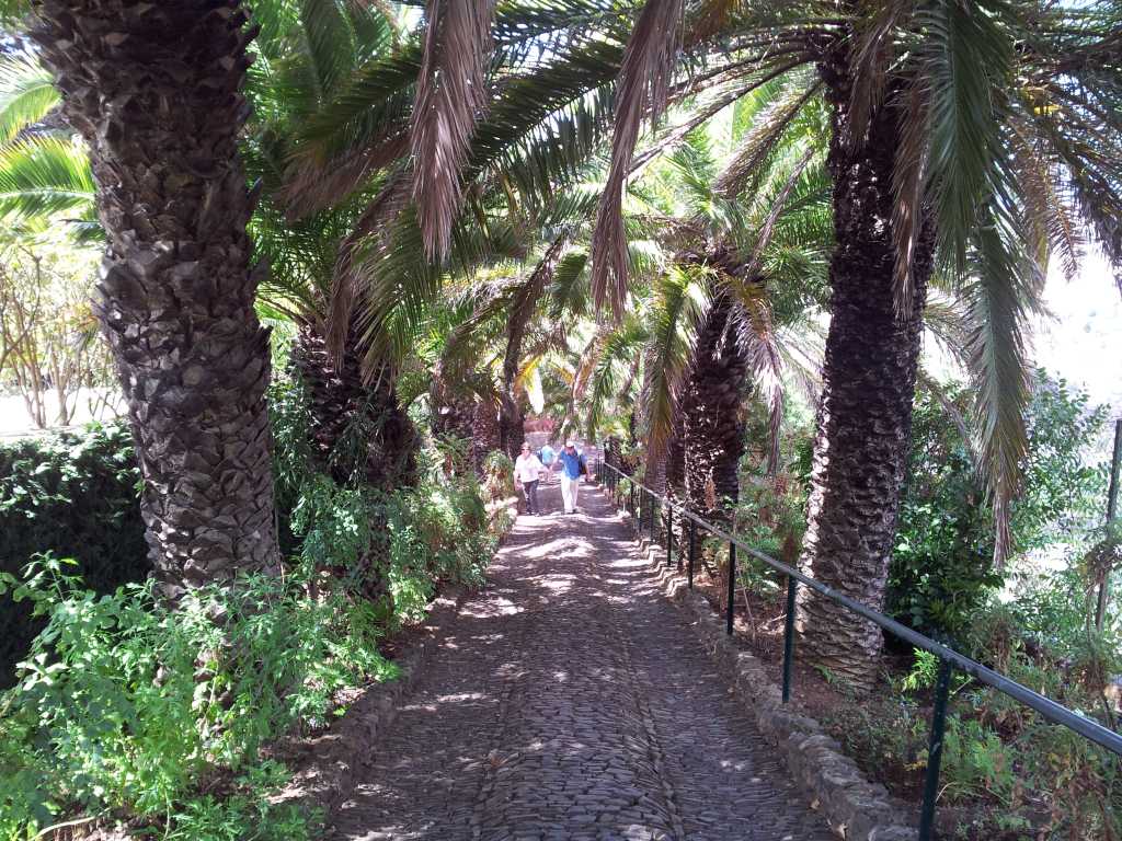 195_Madeira_1952012-06-18 13.19.50.jpg