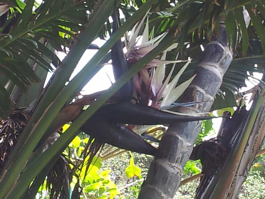 197_Madeira_1972012-06-18 13.28.13.jpg