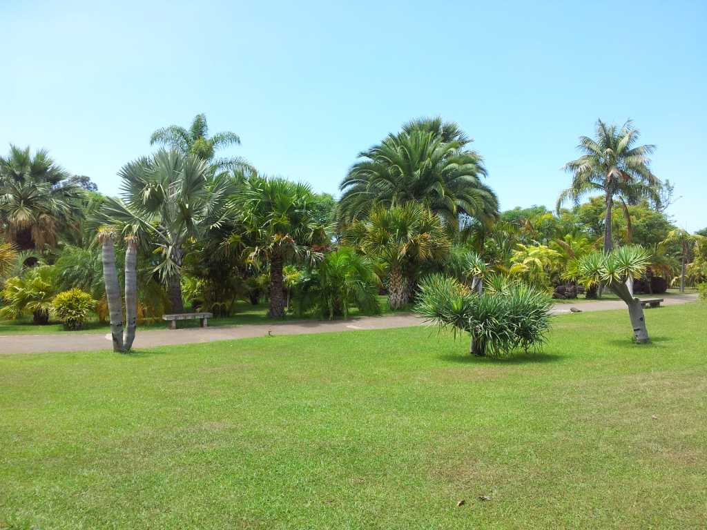 201_Madeira_2012012-06-18 13.56.34.jpg