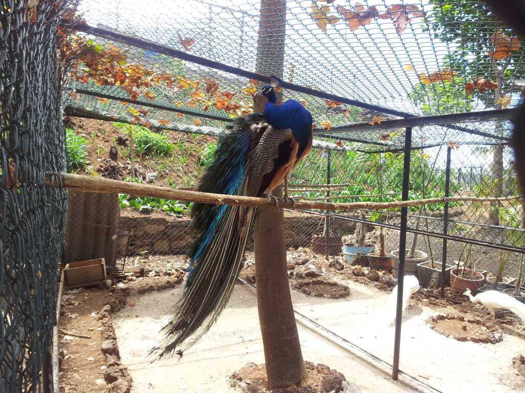 202_Madeira_2022012-06-18 14.05.45.jpg