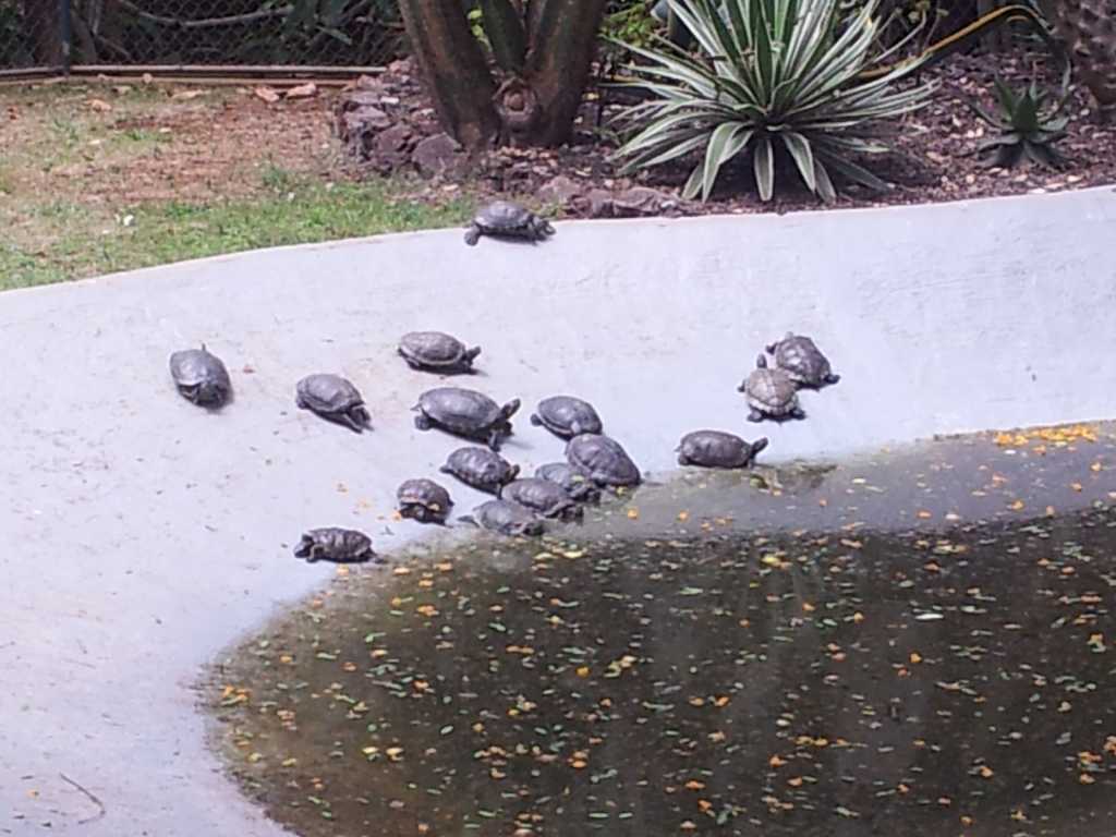 205_Madeira_2052012-06-18 14.11.11.jpg