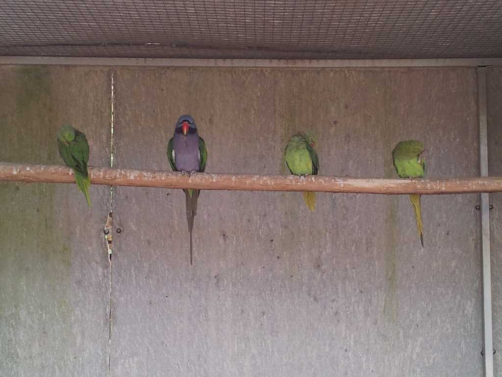 206_Madeira_2062012-06-18 14.11.55.jpg