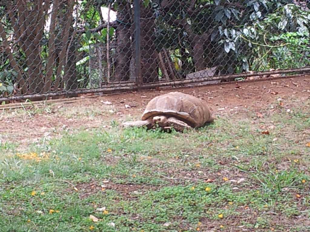 208_Madeira_2082012-06-18 14.12.40.jpg