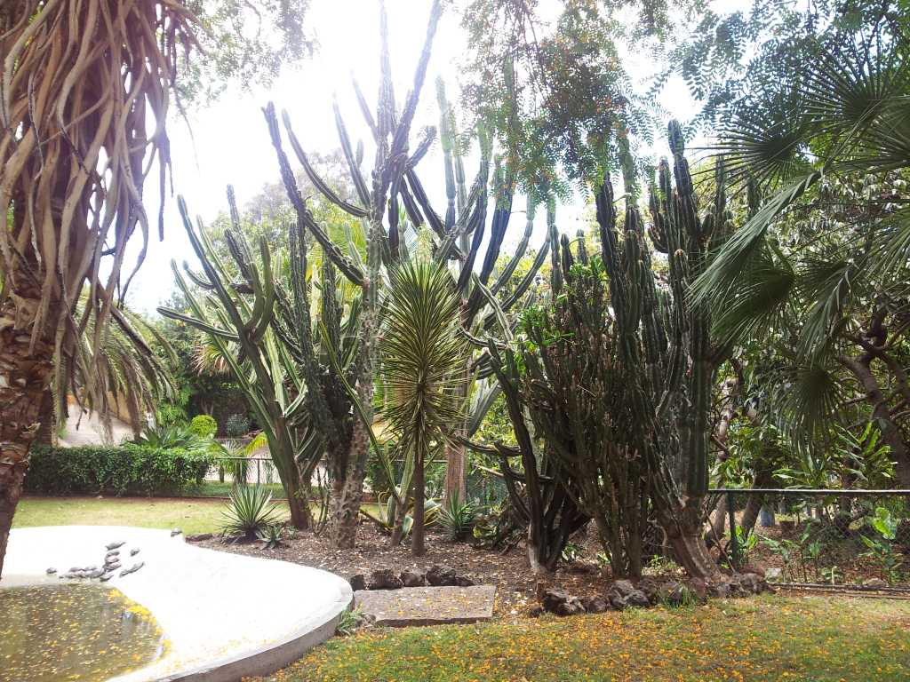 210_Madeira_2102012-06-18 14.13.24.jpg