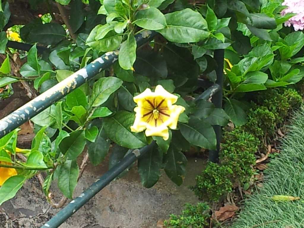 212_Madeira_2122012-06-18 14.29.54.jpg