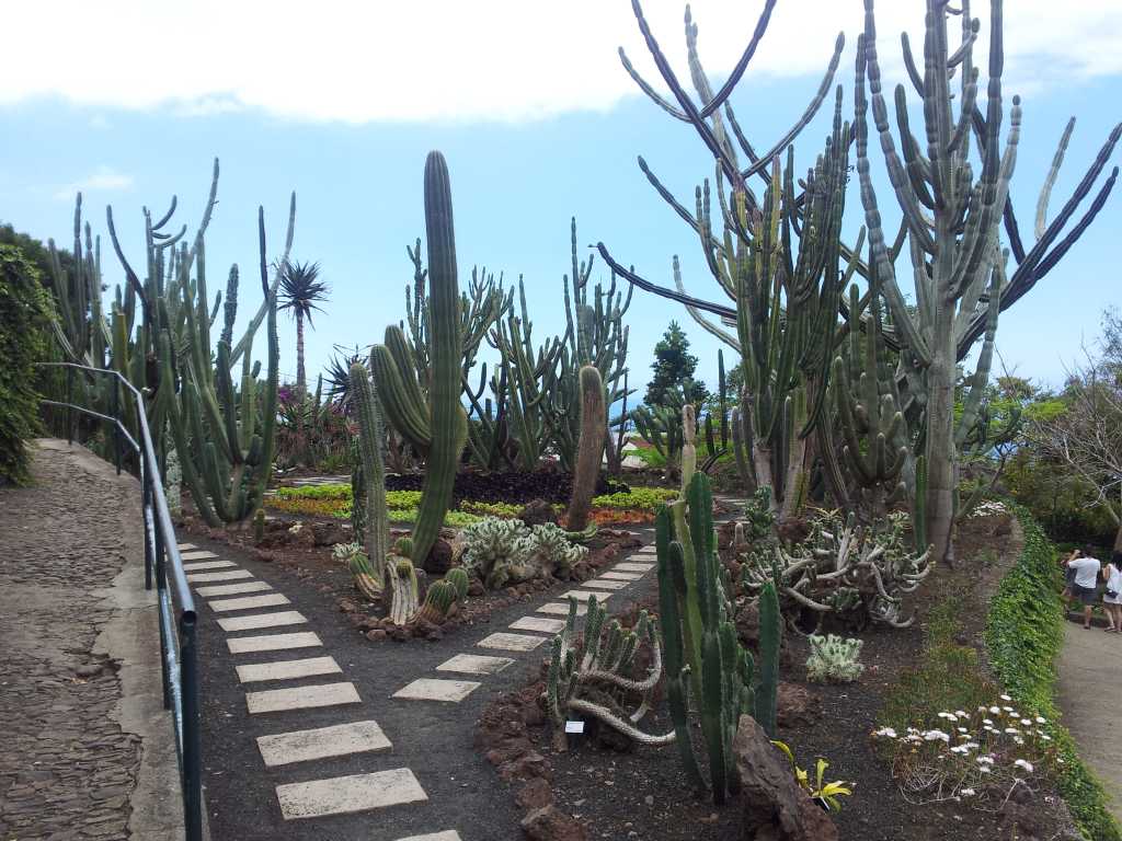 214_Madeira_2142012-06-18 14.31.27.jpg