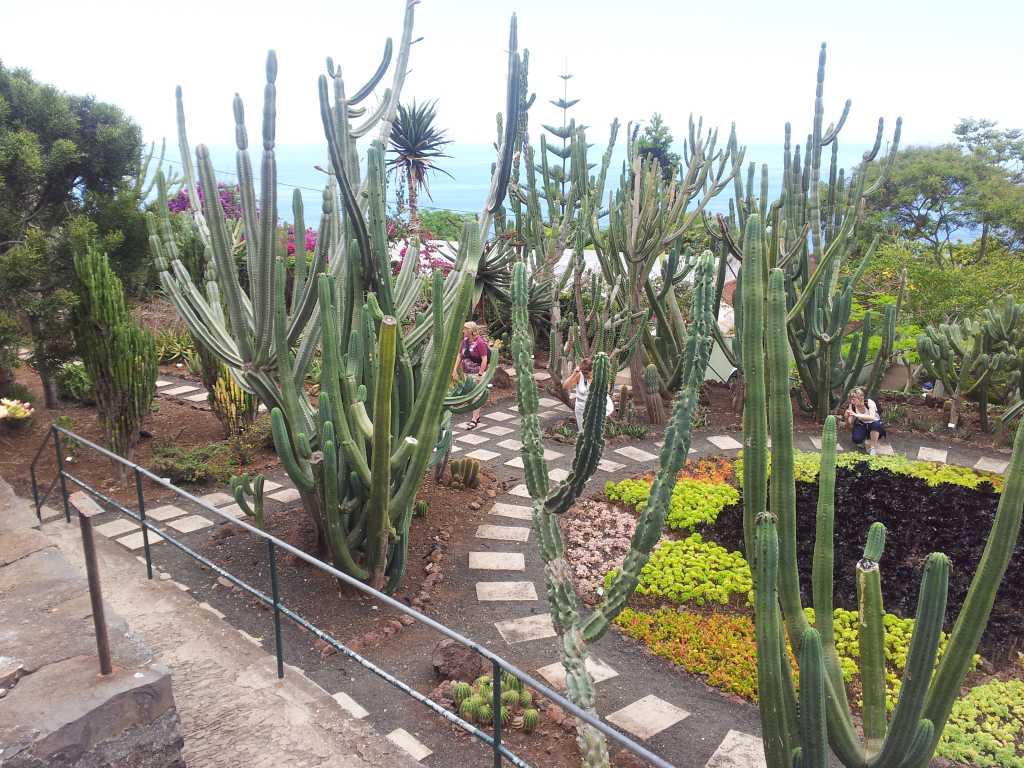 215_Madeira_2152012-06-18 14.31.58.jpg