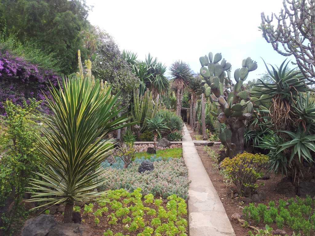 216_Madeira_2162012-06-18 14.32.42.jpg