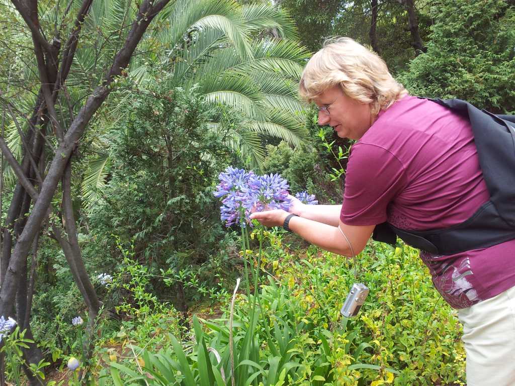 230_Madeira_2302012-06-18 14.57.10.jpg