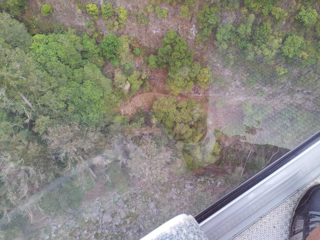 238_Madeira_2382012-06-18 15.11.57.jpg