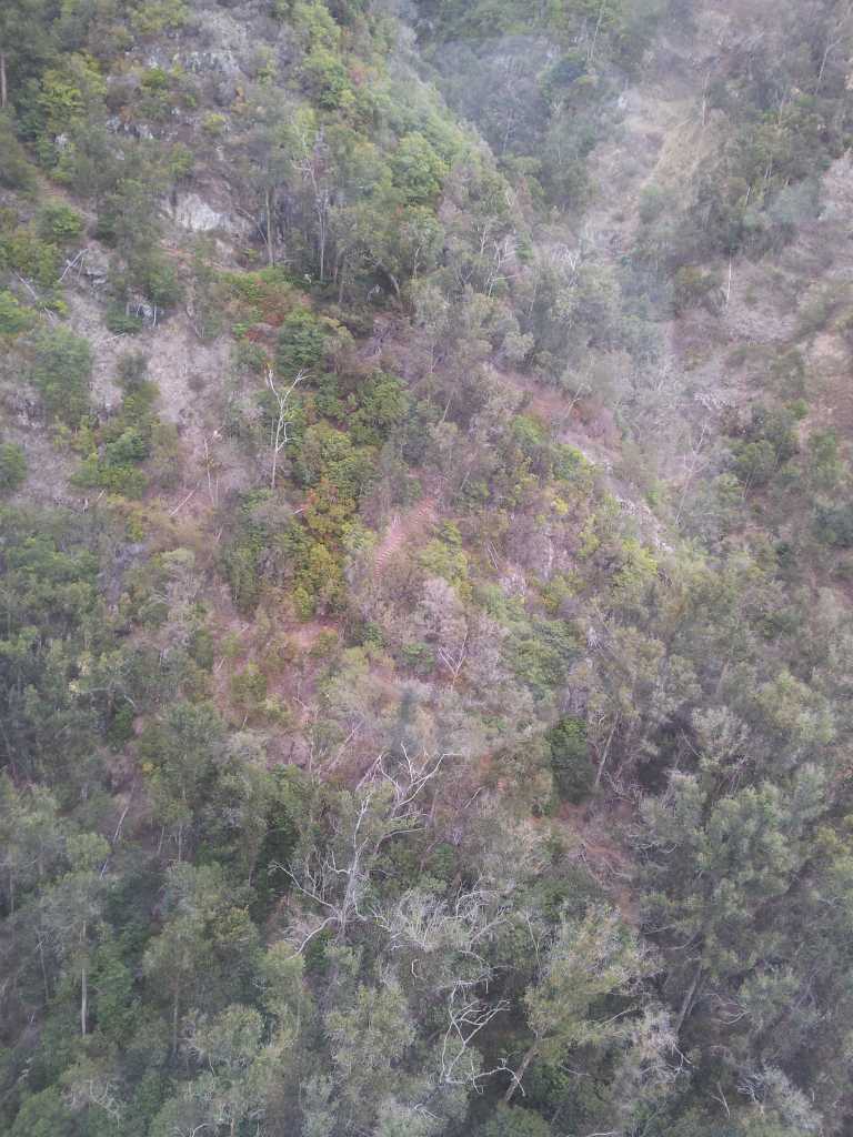 239_Madeira_2392012-06-18 15.12.42.jpg