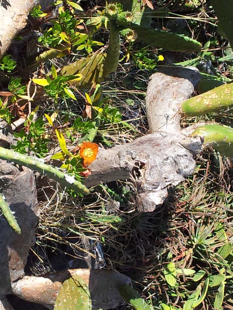 264_Madeira_2642012-06-20 12.11.11.jpg