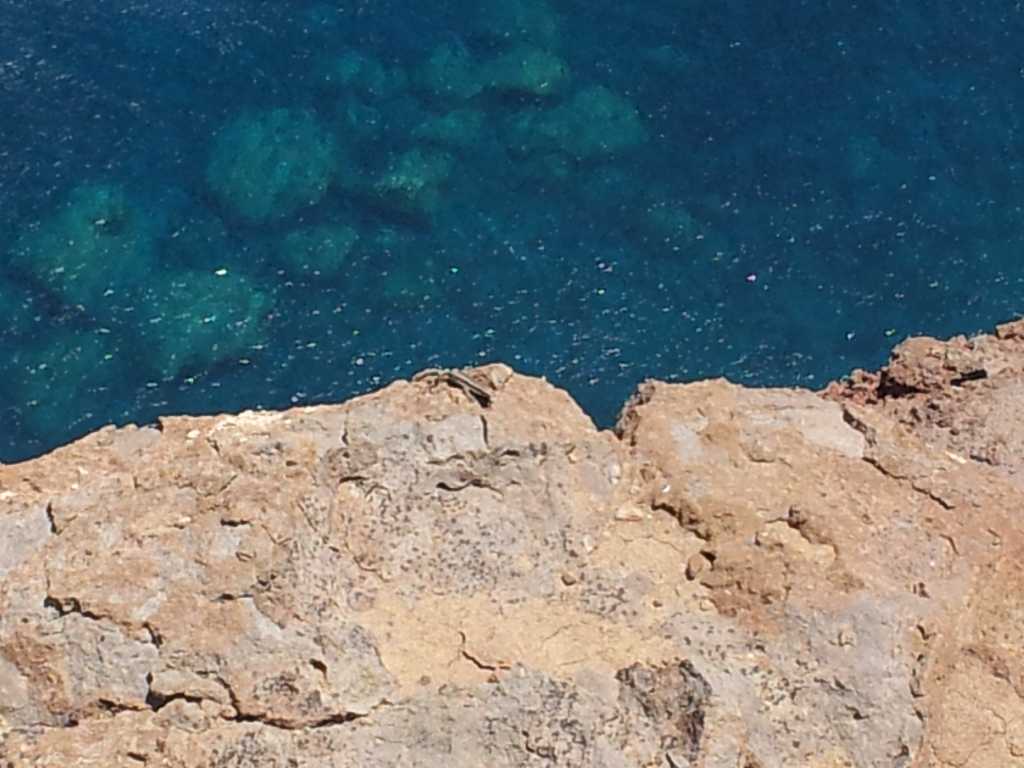 274_Madeira_2742012-06-20 14.15.51.jpg