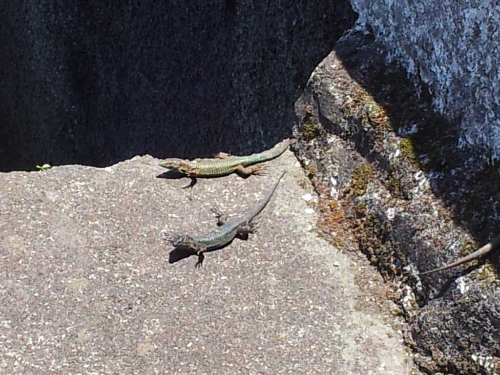 280_Madeira_2802012-06-20 15.39.03.jpg