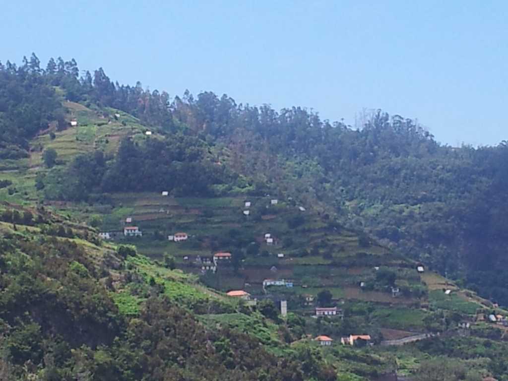 291_Madeira_2912012-06-20 16.00.34.jpg