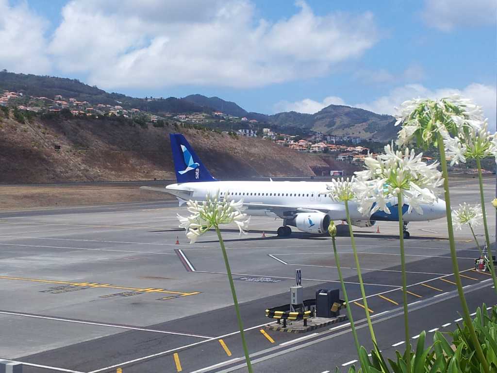 308_Madeira_3082012-06-22 15.47.32.jpg